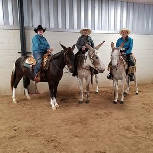 Meet your Posher, Carol